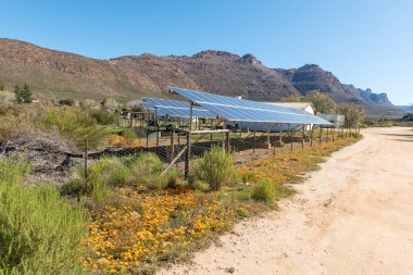 KROMRIVIER, SOUTH AFRICA, SEP 8, 2022: A solar power installation at Kromrivier Cederberg Park, a holiday resort in the Cederberg Mountains clipart