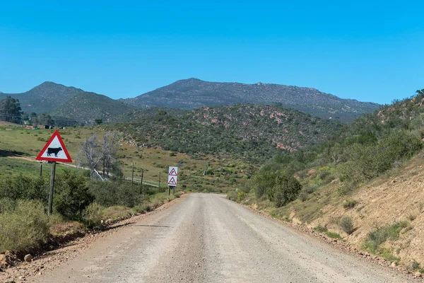Southern End Nieuwoudt Pass Western Cape Cederberg Road Signs Visible — Stock Photo, Image