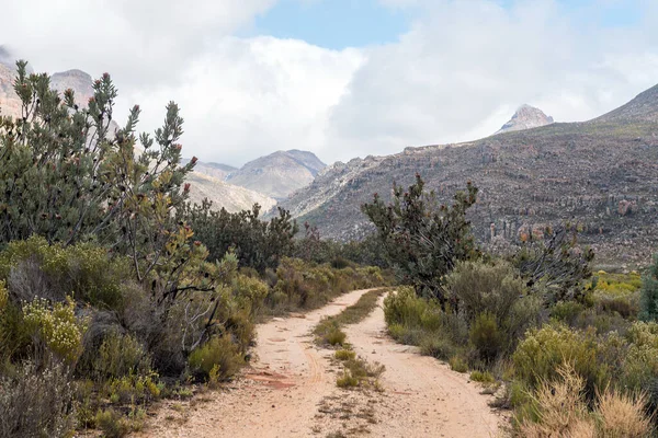 Dos Pistas Spoor Que Conducen Inicio Del Disa Trail Parque — Foto de Stock