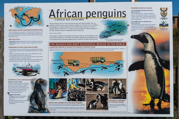 Bettys Bay Sudáfrica Septiembre 2022 Tablero Información Para Los Pingüinos —  Fotos de Stock