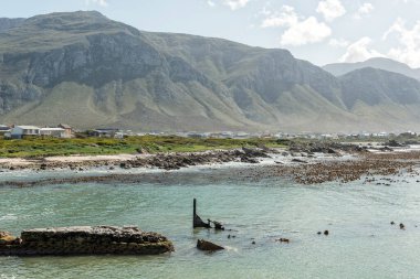 Arkasında Bettys Körfezi olan Stony Point 'teki gemi enkazının bir parçası.