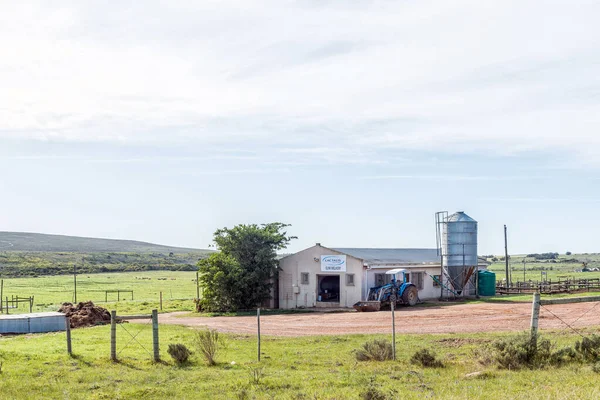 Elim Νότια Αφρική Σεπτεμβρίου 2022 Ένα Κτίριο Γαλακτοκομικής Εκμετάλλευσης Κοντά — Φωτογραφία Αρχείου