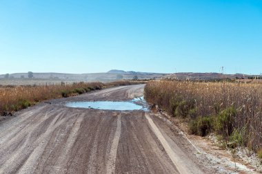A landscape, with a gravel road, stream crossing and reeds, between Loxton and Fraserburg in the Northern Cape Karoo