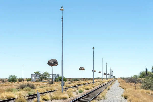 Železniční Stanice Putsonderwater Město Duchů Provincii Severní Kapsko Lampy Společná — Stock fotografie