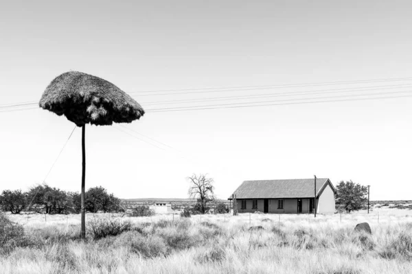 Putsonderwater Sudáfrica Feb 2023 Una Casa Poste Telefónico Con Nido — Foto de Stock
