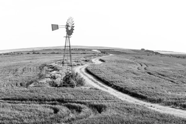 Bredasdorp Jihoafrická Republika 2022 Větrný Mlýn Mezi Poli Zelené Pšenice — Stock fotografie