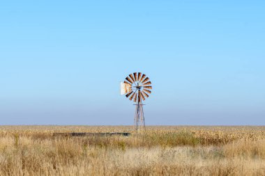 Mısır tarlasında hasat için hazır paslı bir yel değirmeni ve baraj.