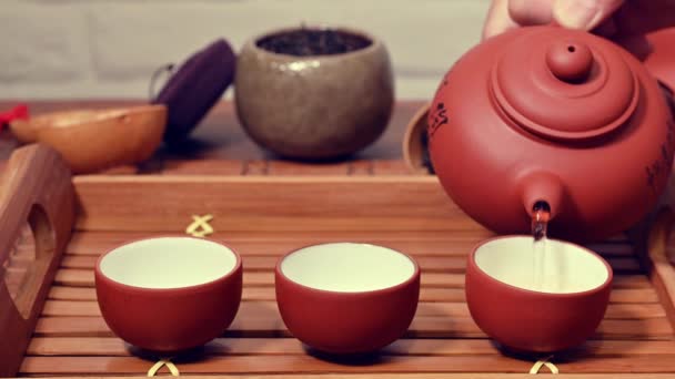 Chinesischer Tee Wird Die Tasse Gegossen — Stockvideo