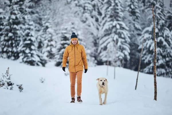 冬天带着狗的人宠物主人和他忠实的拉布拉多猎犬在雪地的人行道上对着森林散步 — 图库照片