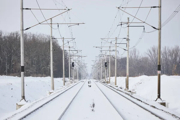 Zasněžená Železnice Během Zimního Mrazivého Dne Zmenšující Perspektiva Dvou Prázdných — Stock fotografie