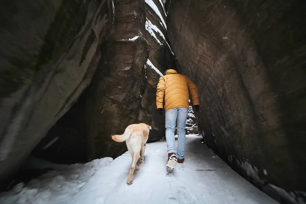 Άντρας Σκύλο Κατά Χειμερινή Πεζοπορία Κατοικίδιο Ζώο Ιδιοκτήτης Περπάτημα Χιονισμένο — Φωτογραφία Αρχείου