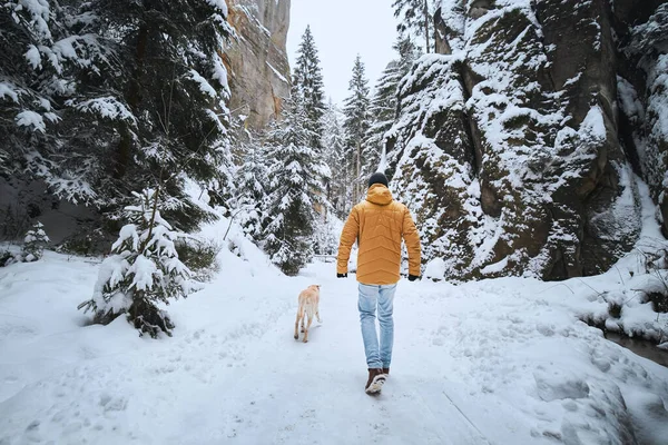 Man Dog Winter Day Pet Owner Walking Snowy Footway His — Stock Photo, Image
