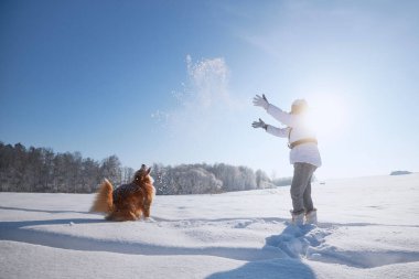 Karlı arazide yürürken köpekle oynayan bir kadın. Evcil hayvan sahibi, neşeli Nova Scotia Duck Tolling Retriever 'ıyla kar fırlatıyor.