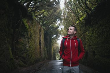 Gizemli sisli ormana hayran bir adam. Turist kayalar arasında yol boyunca yürüyor. Tenerife, Kanarya Adaları, İspanya