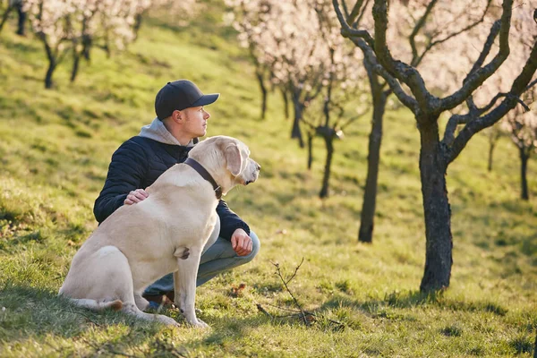 Man Met Hond Zittend Bloeiende Stadspark Tijdens Lentedag Zijaanzicht Van — Stockfoto