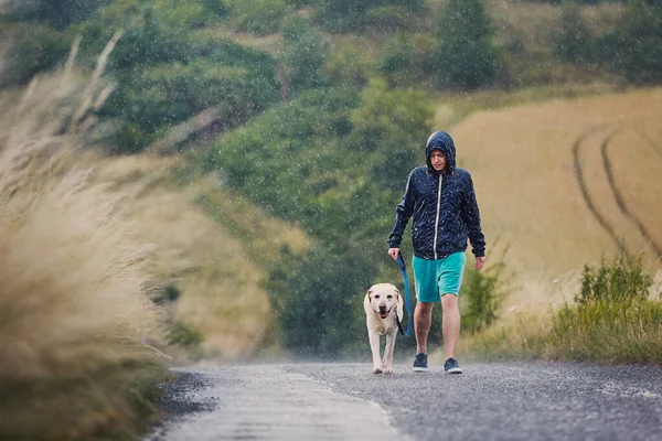 Homem Com Cão Trela Caminhando Juntos Estrada Rural Molhada Chuva — Fotografia de Stock