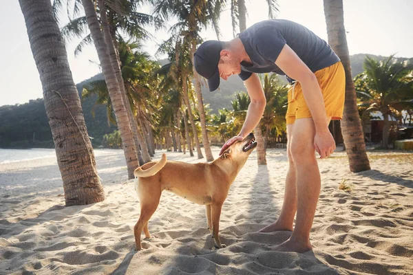 Smiling Man Shorts Stroking Cute Dog Palm Trees Idyllic Sandy — Stock Photo, Image
