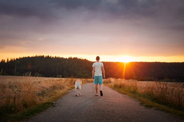 Visão Traseira Homem Caminhando Com Cão Juntos Estrada Rural Dono — Fotografia de Stock