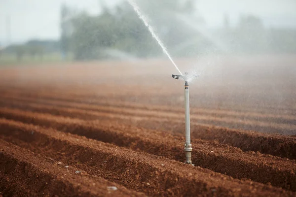 Agrarische Irrigatie Apparatuur Sproeien Water Droog Ingediend Thema Droogte Milieu — Stockfoto