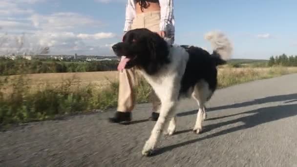 Adolescente Chica Está Caminando Sendero Con Perro Correa Propietario Mascotas — Vídeos de Stock