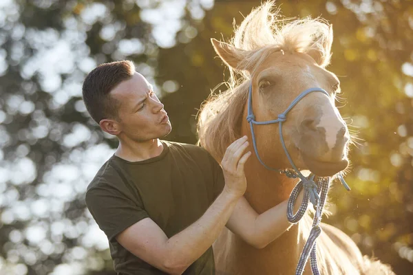 Portrait Man Calming Horse Obedience Training Sunny Summer Day — Stock Photo, Image