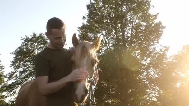 Άνθρωπος Χαϊδεύει Άλογο Θεραπείας Στο Λιβάδι Ηλιοβασίλεμα Θέματα Ιπποπόταμος Θεραπεία — Αρχείο Βίντεο
