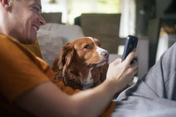 Man sitting on sofa with dog. Pet owner taking selfie through mobile phone with his Nova Scotia Duck Tolling Retriever at home
