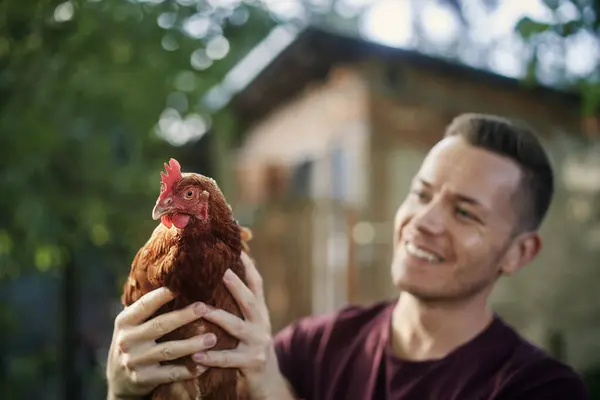 Portrait of smiling farmer while standing outside henhouse and holding hen on organic farm.