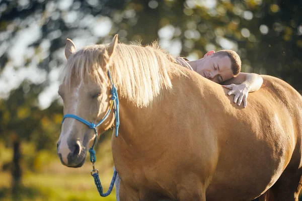 Man lying embracing of therapy horse. Themes hippotherapy, care and friendship between people and animals