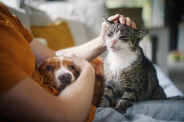 Evcil hayvanlarla kanepede oturan bir adam. Evcil hayvan sahibi yaşlı kedisiyle köpeğini okşuyor.
