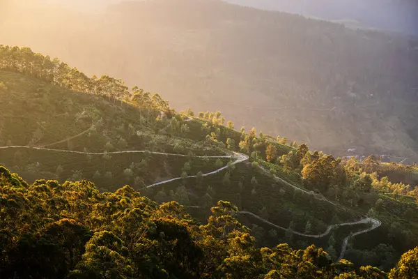 Kurvenreiche Straße Inmitten Von Teeplantagen Hügel Bei Haputale Sri Lanka lizenzfreie Stockfotos