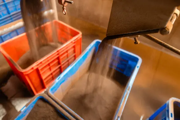 Наповнення Пластикових Коробок Чаєм Процес Виробництва Заводі Чаю Шрі Ланці Стокове Зображення