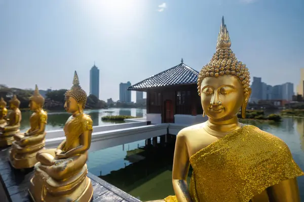 科伦坡市中心湖畔的佛寺 斯里兰卡Seema Malaka寺庙 免版税图库照片