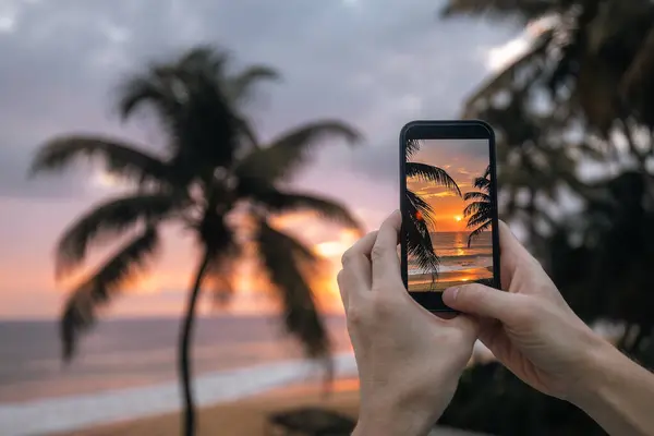手牵着智能手机的特写镜头 男人用手机在海上拍摄日落 斯里兰卡南部海岸沙滩上的椰子树 图库图片