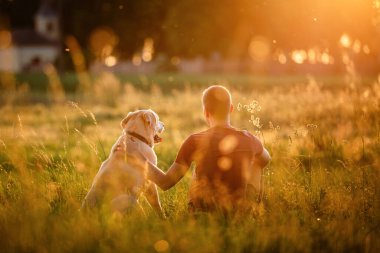 Köpekli bir adam çayırda oturuyor. Hayvan sahibi labrador av köpeğiyle huzurlu yaz günbatımının tadını çıkarıyor.