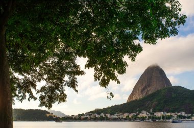 Brezilya, Rio de Janeiro 'daki Ağaçların Altındaki Şekerleme Dağı' nın yan görüntüsü
