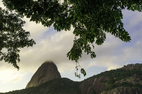 Vista Lateral Montanha Pão Açúcar Debaixo Das Árvores Rio Janeiro — Fotografia de Stock