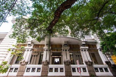 Rio de Janeiro, Brezilya - 25 Eylül 2023: Fluminense Futbol Kulübü ağaç dallarının altında dış görünüm.