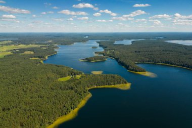 Labanoras Bölgesel Parkı Göl ve Ormanlı Hava Manzarası, Güzel Litvanya Manzarası