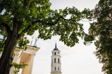 Litvanya 'daki Vilnius Katedrali Çan Kulesi