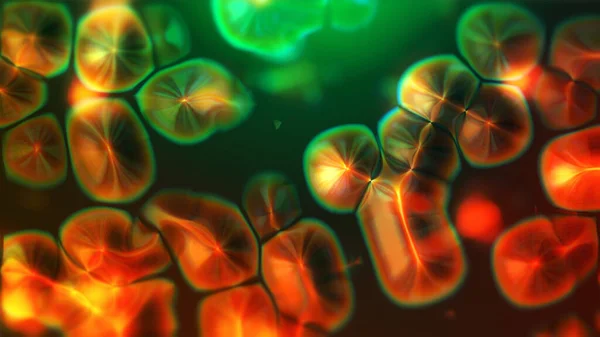 细胞分裂将遗传学信息传递给染色体 Mitosis 微观可视化 微生物学 生物技术 医学的3D背景 — 图库照片