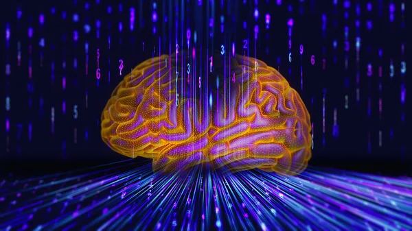 Sinir Ağı Insan Beynini Yapay Zeka Kullanarak Eğitiyor Makine Öğrenme Telifsiz Stok Fotoğraflar
