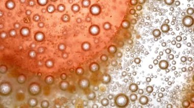 Hareketli Organik Hücreler Kimyasal Süreç 4K UHD Video Makro Ayrıntıları