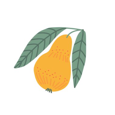 Renkli el yapımı armut. Vektör illüstrasyonu