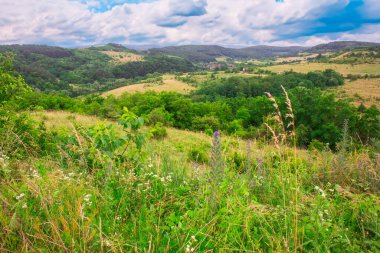 Bereketli yeşilliğin ve bulutlu bir gökyüzünün altındaki tepelerin manzarası..