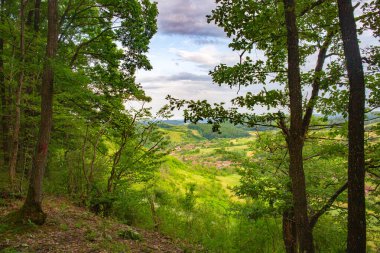 Idyllic orman manzarası altında küçük bir köy olan yemyeşil bir vadiyi gözler önüne seriyor.