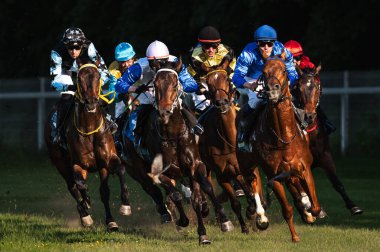 WROCLAW, POLAND - 4 Haziran 2023: Üç yıllık engelli yarışı ve Racecourse WTWK Partynice 'de yaşlı atlar III grubu. Jokeyler, atlar ve öndeki küçük kuş.
