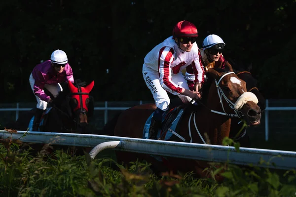 Wroclaw ポーランド 2023年6月4日 競馬場Twk Partynice 4歳以上の馬のための国際レース リードジョッキーアントンTurgaev 1頭の馬メイトレスエンタイヤ — ストック写真