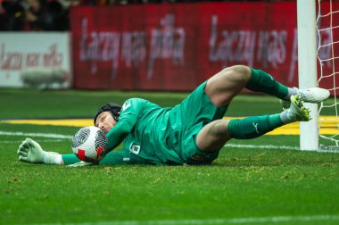WARsaw, POLAND - 17 Kasım 2023: 2024 UEFA Euro 2024 elemeleri. Polonya - Çek Cumhuriyeti 1: 1. Eylem kalecisi Jindrich Stanek.