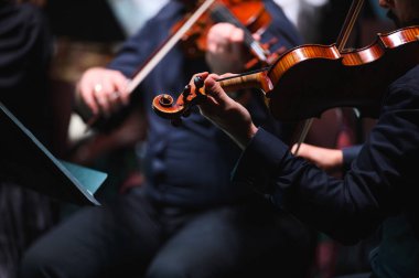 Bir orkestra konseri sırasında bir kemanın ayrıntıları